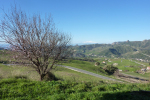 Ausblick 